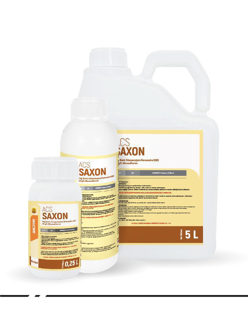 ACS Saxon