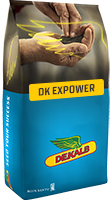 DK Expower