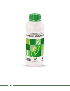 Bild von Lombrico Maduracion