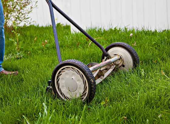 Bahçe Çim Yapımı
