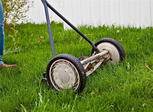 Bahçe Çim Yapımı